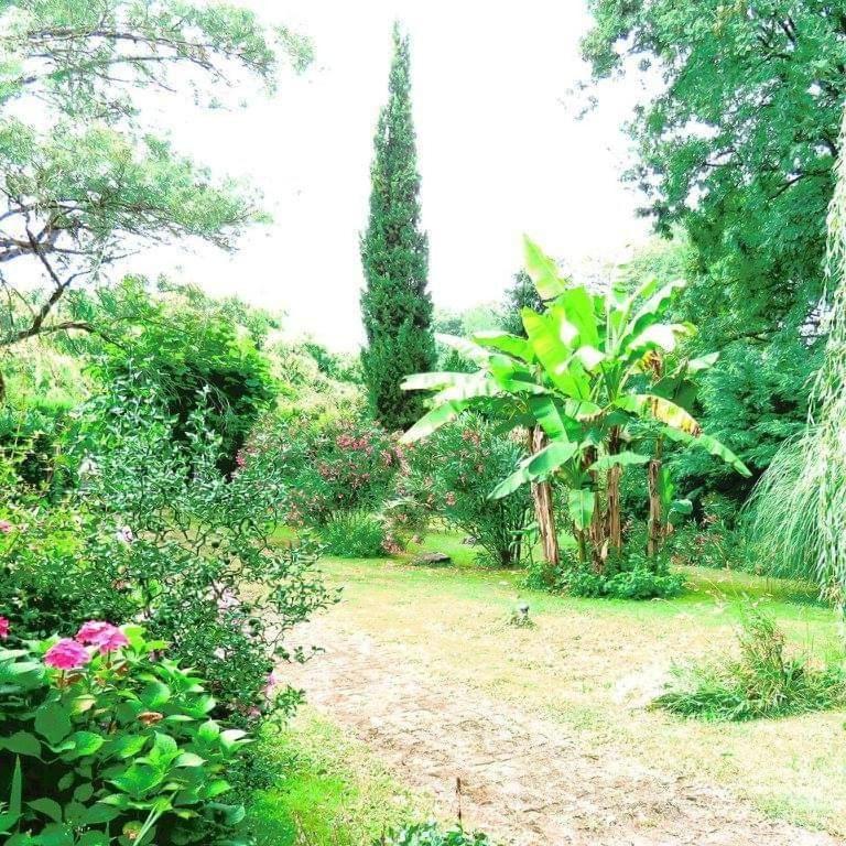 Gite Matilon, 5 Min Eugenie Les Bains Buanes Exteriér fotografie